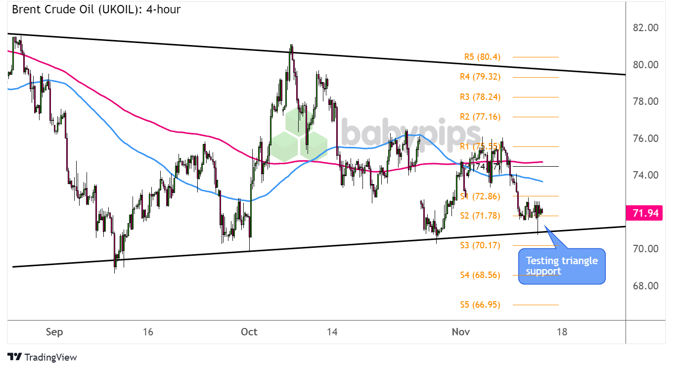 “秋冻”“贴秋膘”有讲究!专家回应秋季养生热门话题