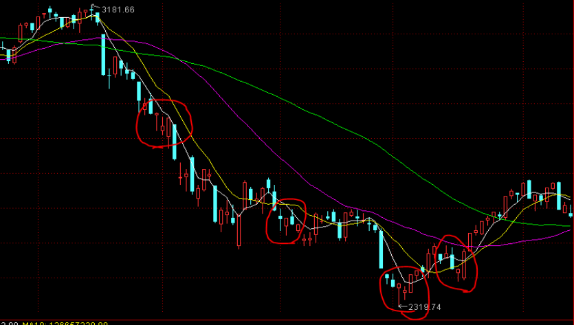 珠琴2家企业上榜！2025中国民营企业500强发布